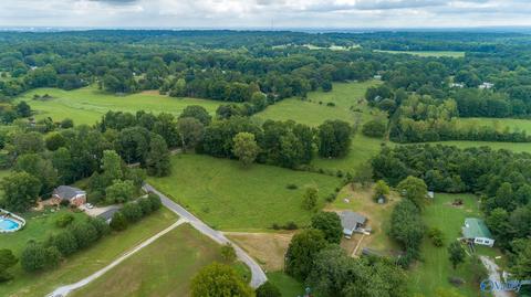 229 County Road 549, Trinity, AL 35673 photo 28