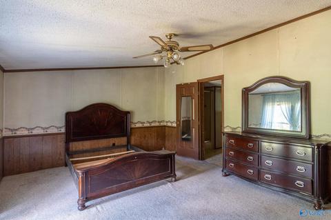 229 County Road 549, Trinity, AL 35673 photo 12