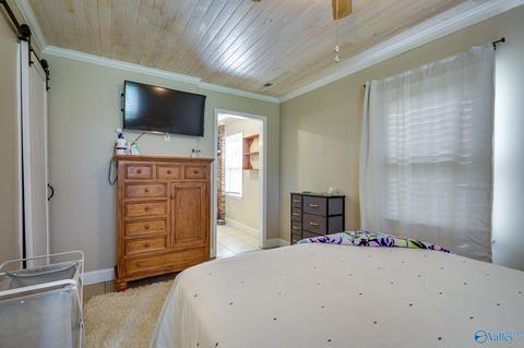 584 S Mountain Dr, Trinity, AL 35673 photo 19