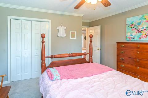 17 County Road 496, Trinity, AL 35673 photo 22