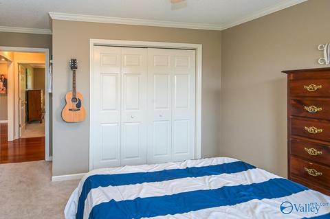 17 County Road 496, Trinity, AL 35673 photo 26