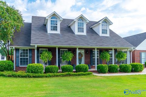 17 County Road 496, Trinity, AL 35673 photo 1