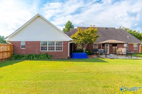 17 County Road 496, Trinity, AL 35673 photo 34