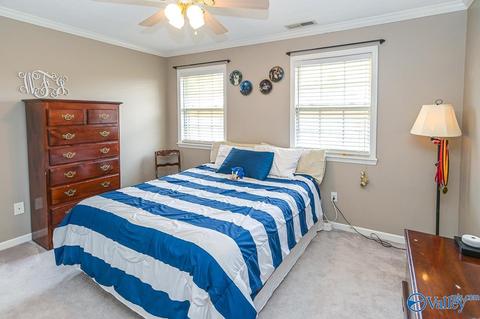 17 County Road 496, Trinity, AL 35673 photo 25
