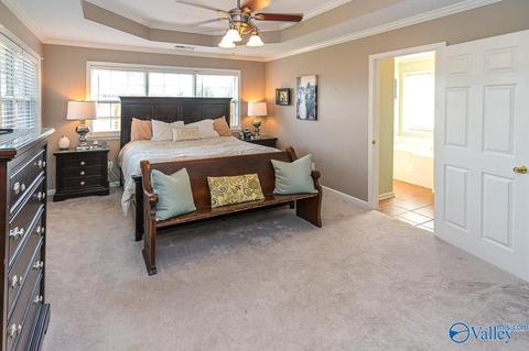 17 County Road 496, Trinity, AL 35673 photo 5