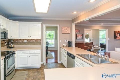 17 County Road 496, Trinity, AL 35673 photo 4