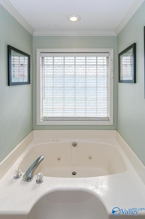 17 County Road 496, Trinity, AL 35673 photo 19