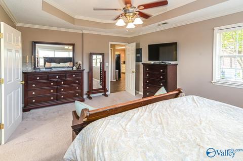 17 County Road 496, Trinity, AL 35673 photo 17
