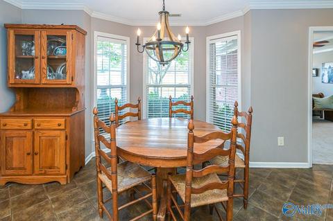 17 County Road 496, Trinity, AL 35673 photo 13