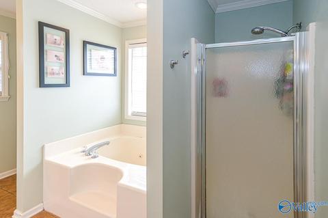 17 County Road 496, Trinity, AL 35673 photo 20