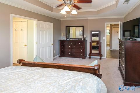 17 County Road 496, Trinity, AL 35673 photo 16