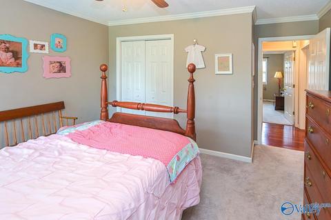 17 County Road 496, Trinity, AL 35673 photo 23