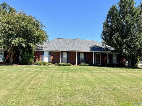 86 County Road 390, Trinity, AL 35673 photo 1