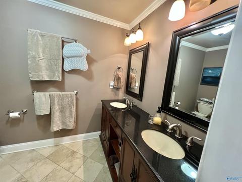 86 County Road 390, Trinity, AL 35673 photo 12