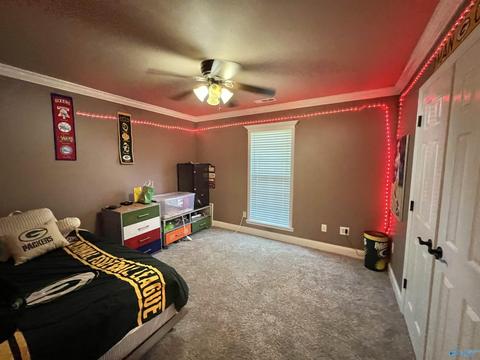 86 County Road 390, Trinity, AL 35673 photo 15