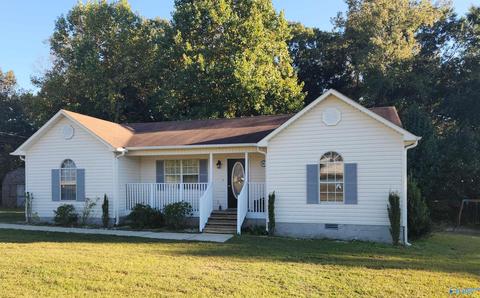 241 Nicki Ln, Arab, AL 35016 photo 1