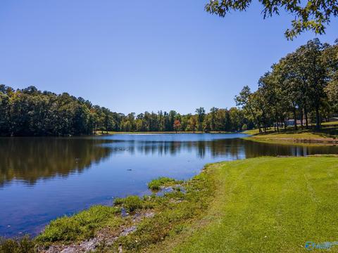 270 County Road 386, Trinity, AL 35673 photo 11