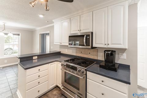 270 County Road 386, Trinity, AL 35673 photo 33