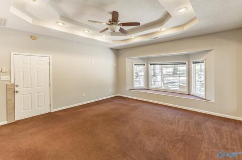 270 County Road 386, Trinity, AL 35673 photo 22