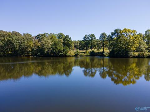 270 County Road 386, Trinity, AL 35673 photo 5