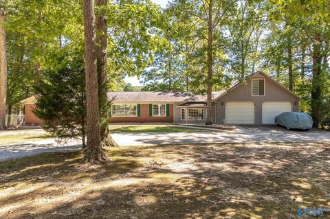 270 County Road 386, Trinity, AL 35673 photo 1