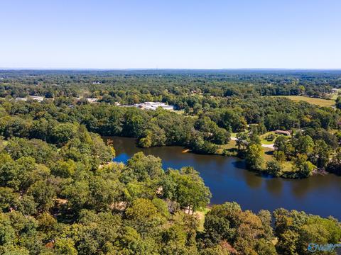 270 County Road 386, Trinity, AL 35673 photo 45