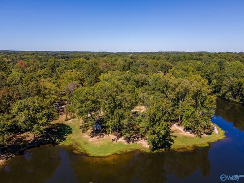 270 County Road 386, Trinity, AL 35673 photo 42