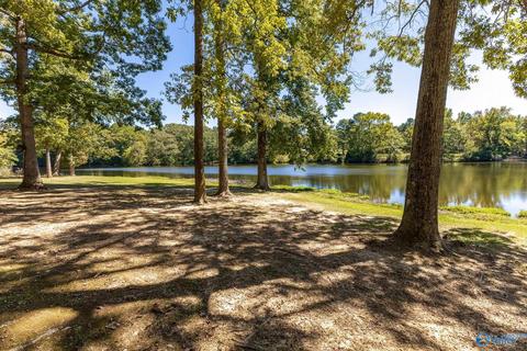 270 County Road 386, Trinity, AL 35673 photo 7