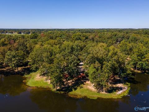 270 County Road 386, Trinity, AL 35673 photo 43