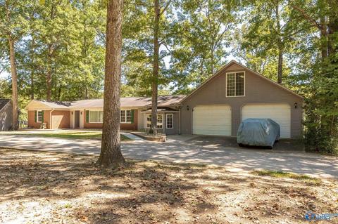 270 County Road 386, Trinity, AL 35673 photo 13