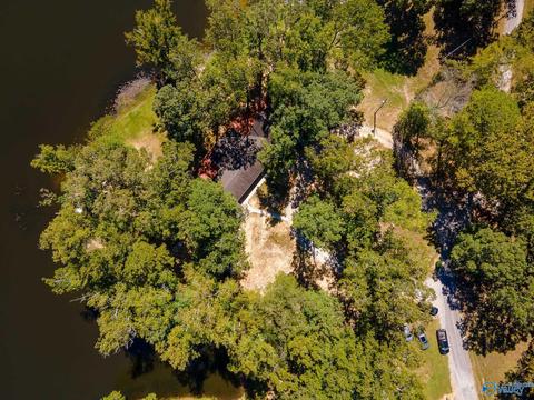 270 County Road 386, Trinity, AL 35673 photo 44