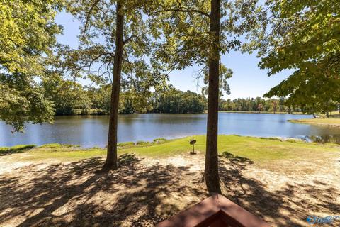 270 County Road 386, Trinity, AL 35673 photo 9