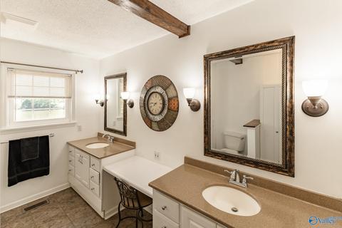 270 County Road 386, Trinity, AL 35673 photo 26