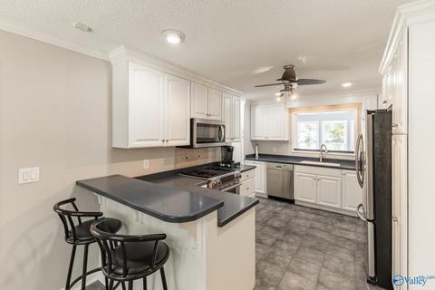270 County Road 386, Trinity, AL 35673 photo 32