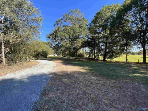 1964 County Road 321, Trinity, AL 35673 photo 7