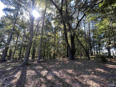 1964 County Road 321, Trinity, AL 35673 photo 6