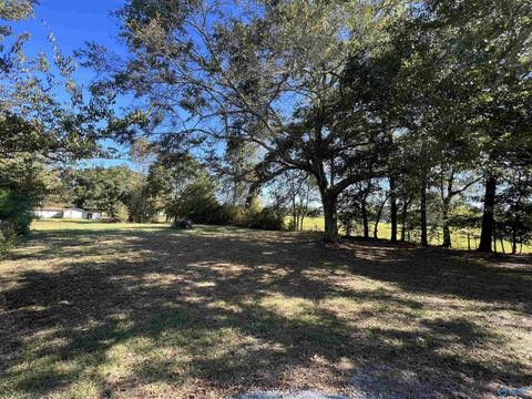 1964 County Road 321, Trinity, AL 35673 photo 5