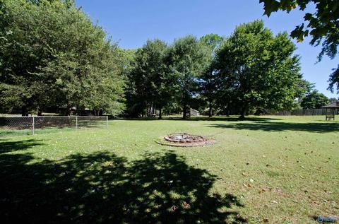 240 Dee Ann Rd, Trinity, AL 35673 photo 16