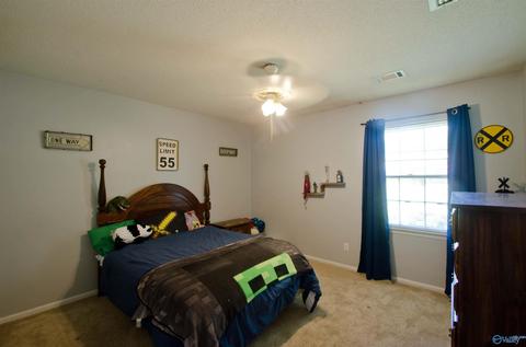 240 Dee Ann Rd, Trinity, AL 35673 photo 42