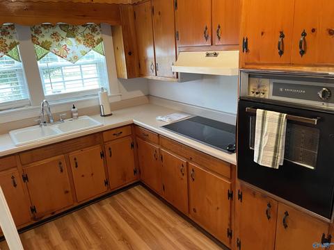 56 Russell St, Section, AL 35771 photo 2