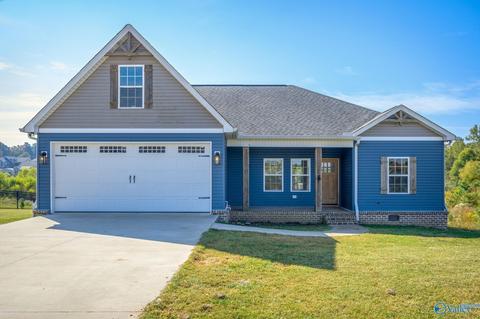 325 Rustic Trce, Grant, AL 35747 photo 1