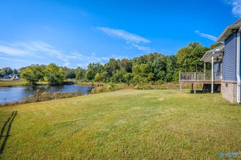 325 Rustic Trce, Grant, AL 35747 photo 29