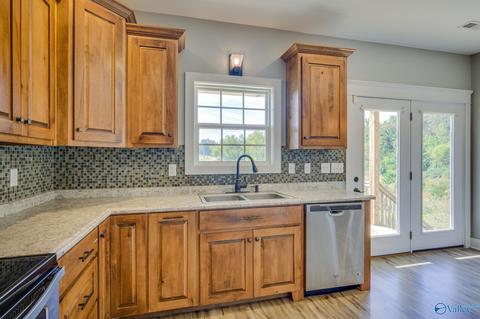 325 Rustic Trce, Grant, AL 35747 photo 12