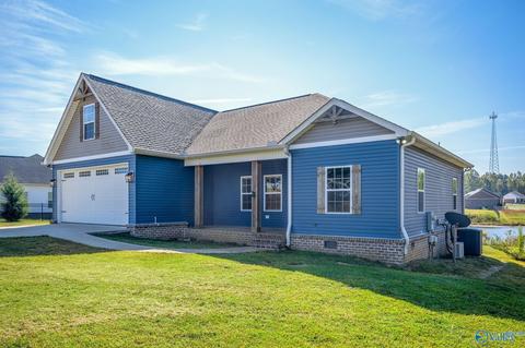 325 Rustic Trce, Grant, AL 35747 photo 3