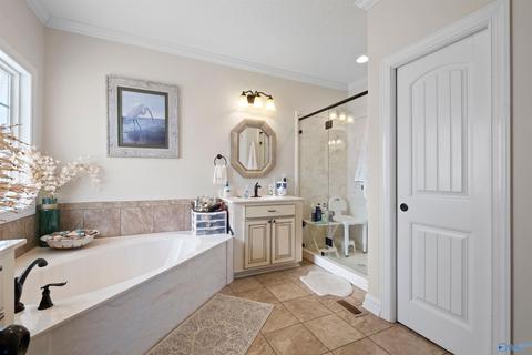 157 Willow Pointe Dr, Ohatchee, AL 36271 photo 10