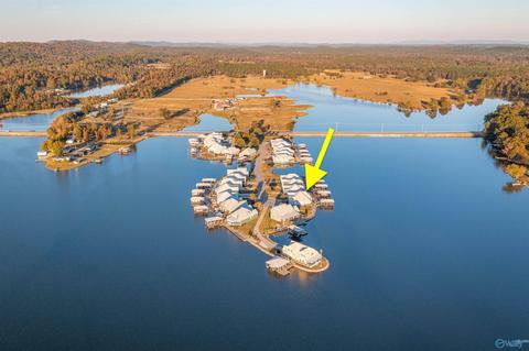 157 Willow Pointe Dr, Ohatchee, AL 36271 photo 23