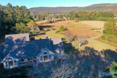395 Walker Rd, Grant, AL 35747 photo 23
