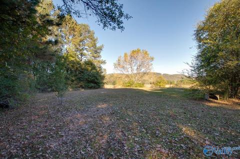 395 Walker Rd, Grant, AL 35747 photo 45