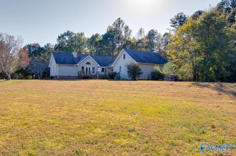 395 Walker Rd, Grant, AL 35747 photo 43