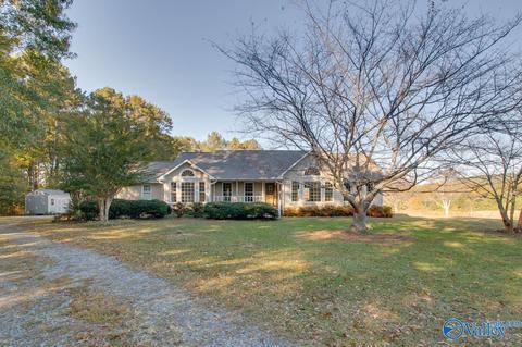 395 Walker Rd, Grant, AL 35747 photo 1